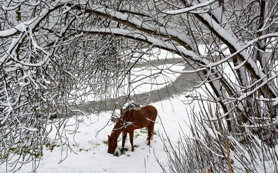 επιμένει-η-κακοκαιρία-με-χιόνια-και-πα-561264400