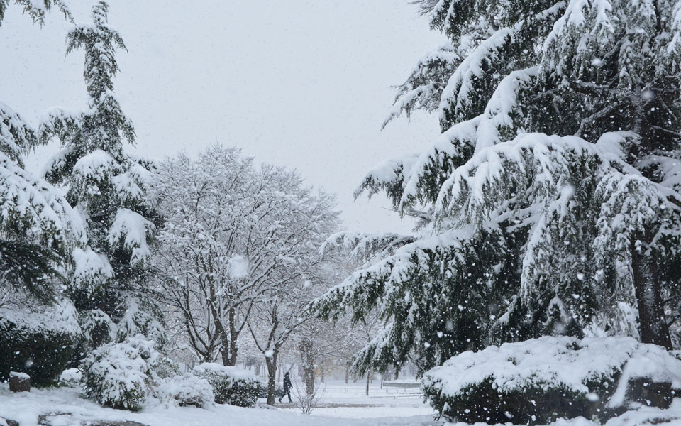 στα-λευκά-περιοχές-της-βόρειας-αττική-561264346