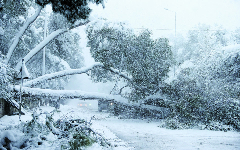 η-μήδεια-και-το-χρονικό-του-βραχυκυ-561271585