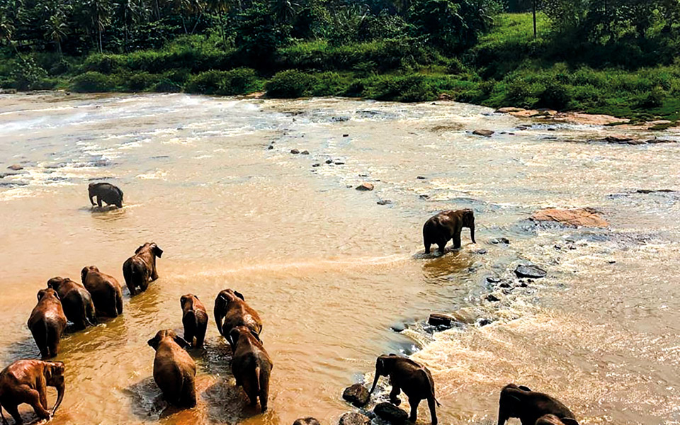 οι-αναγνώστες-ταξιδεύουν-εξωτική-σρι-561281170