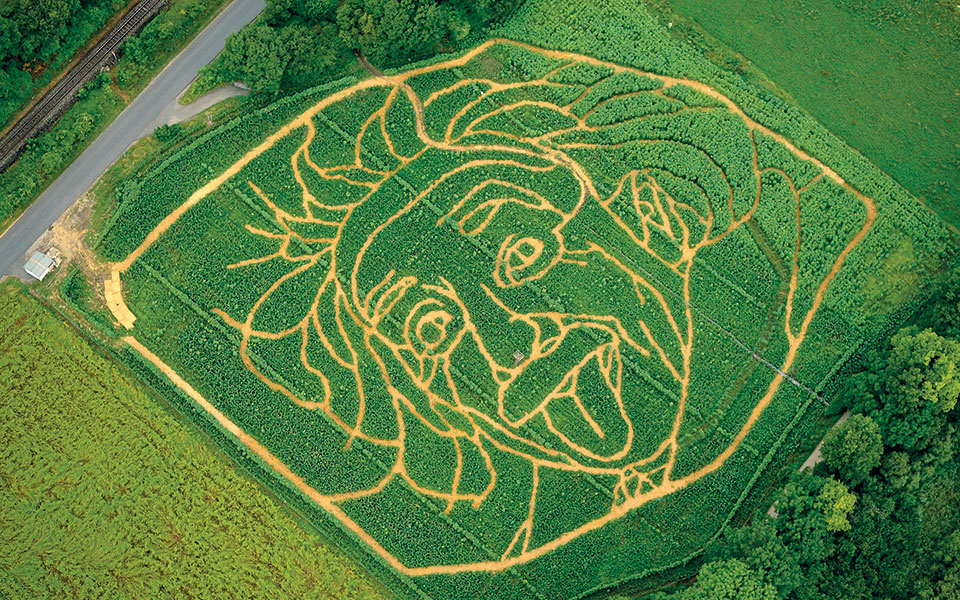 η-θεωρία-της-βγαλμένης-γλώσσας-561303124