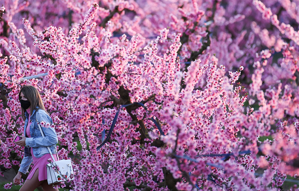 ανοιξη-561296797