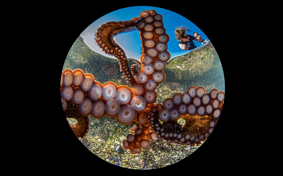 κλικ-στο-βυθό-561302989