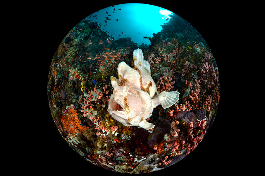 «Κλικ» στο βυθό-9