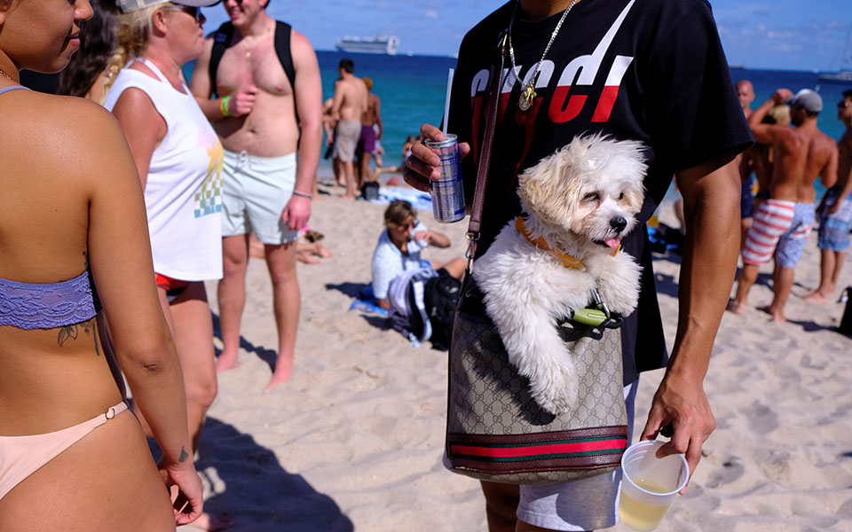 ΗΠΑ: Μια γεύση κανονικότητας αλλά υπό τη συνεχή απειλή του ιού (εικόνες)-7