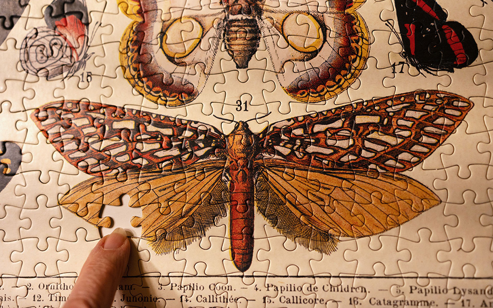 Στη σκιά της Covid ένα χρόνο μετά την ανάρρωση-2