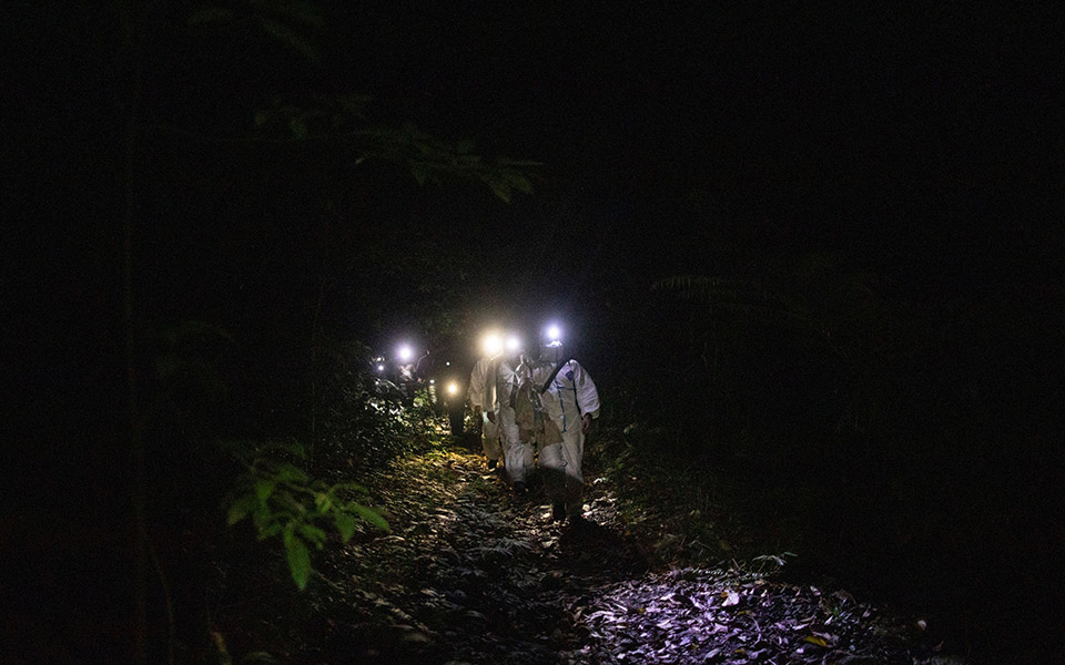 Οι «κυνηγοί ιών» μελετούν νυχτερίδες για την αποφυγή μελλοντικών πανδημιών-12