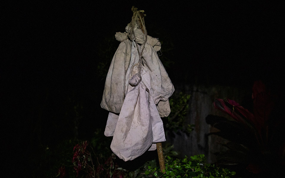 Οι «κυνηγοί ιών» μελετούν νυχτερίδες για την αποφυγή μελλοντικών πανδημιών-14