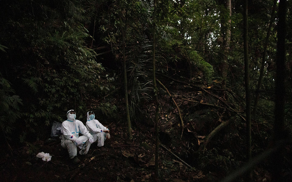 Οι «κυνηγοί ιών» μελετούν νυχτερίδες για την αποφυγή μελλοντικών πανδημιών-5