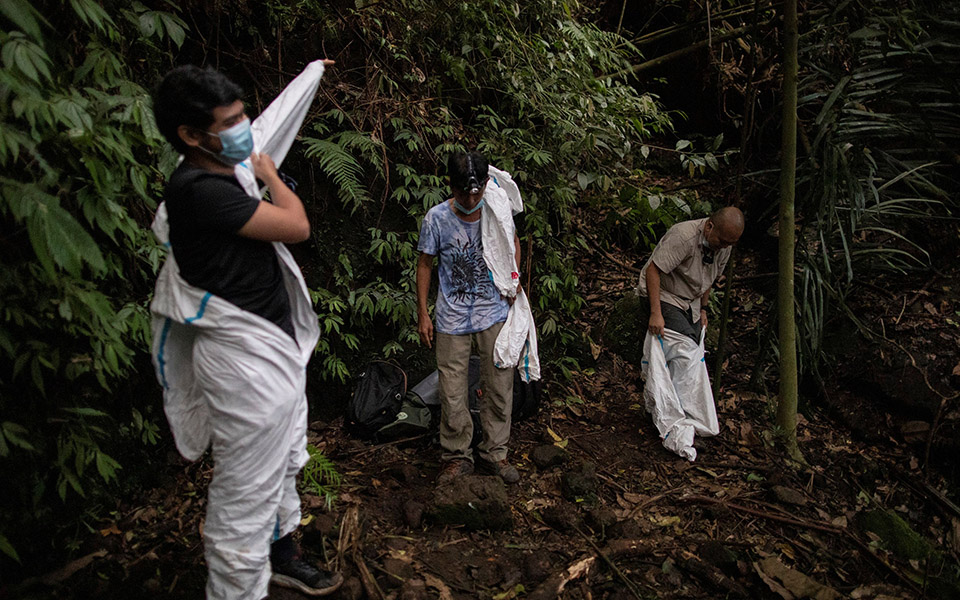Οι «κυνηγοί ιών» μελετούν νυχτερίδες για την αποφυγή μελλοντικών πανδημιών-3