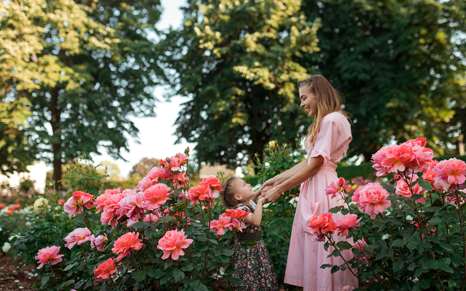 the-x-file-η-μαμά-561311587