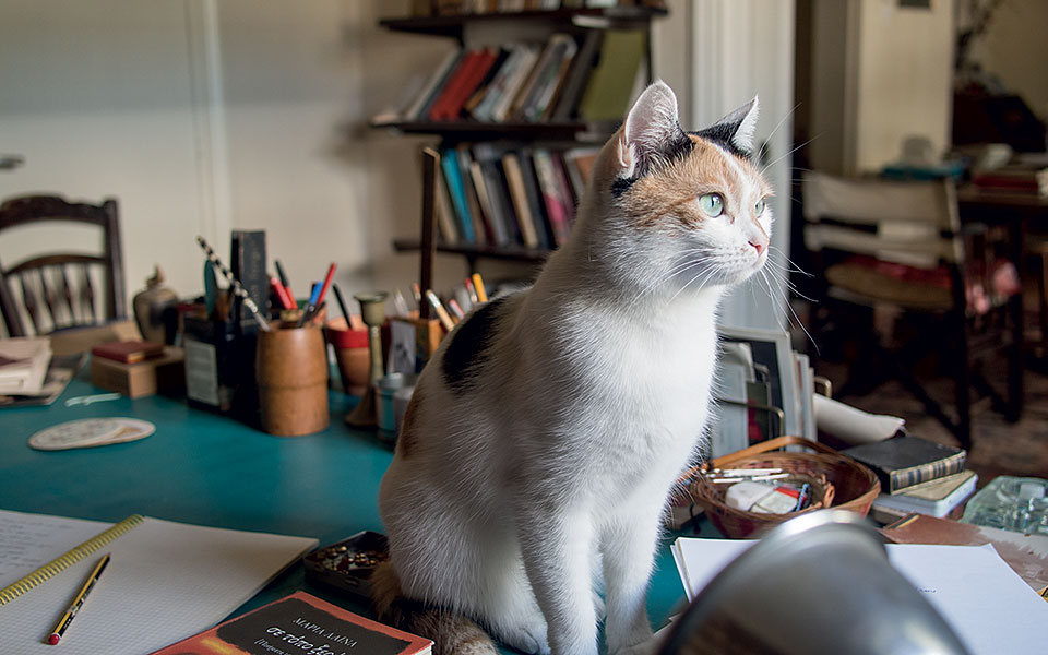 Στον ποιητικό κόσμο της Μαρίας Λαϊνα-2