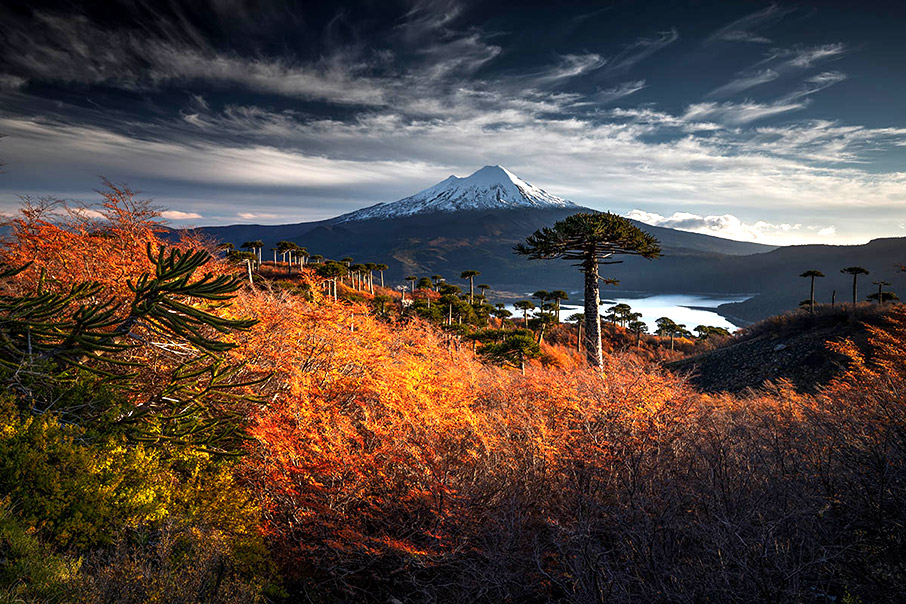 Η Φύση είναι η λύση-2