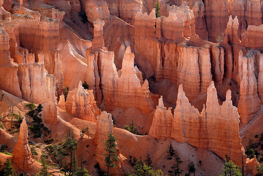 Η Φύση είναι η λύση-3