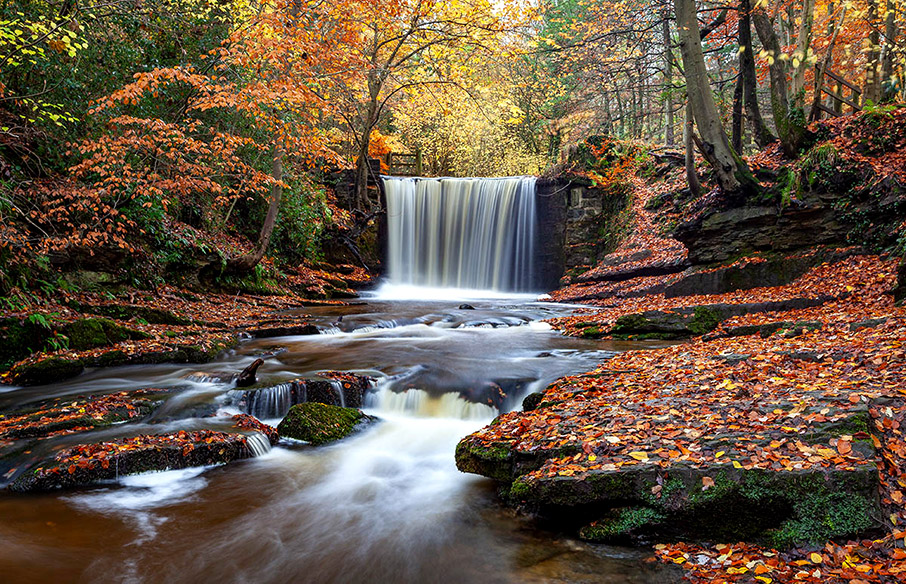 Η Φύση είναι η λύση-5