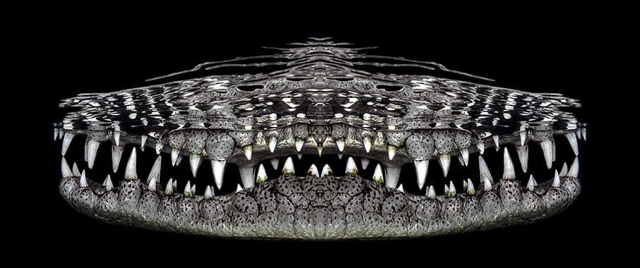 «Κλικ» στο βυθό-8