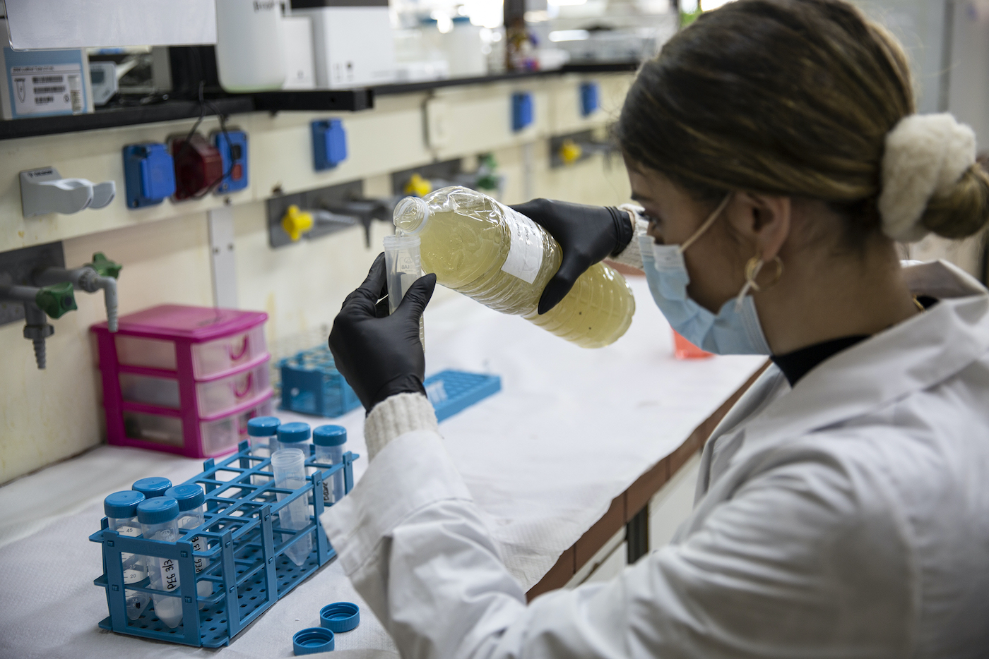 ο-μικρόκοσμος-των-λυμάτων-561289423