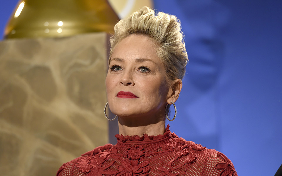 metoo-από-τη-σάρον-στόουν-κατήγγειλε-κακοπ-561311620