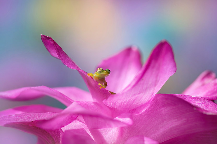 Ζουμ στη φύση-3