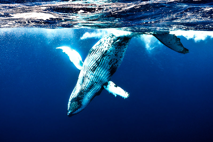 Φωτογραφίζοντας έναν κόσμο υπό απειλή-5
