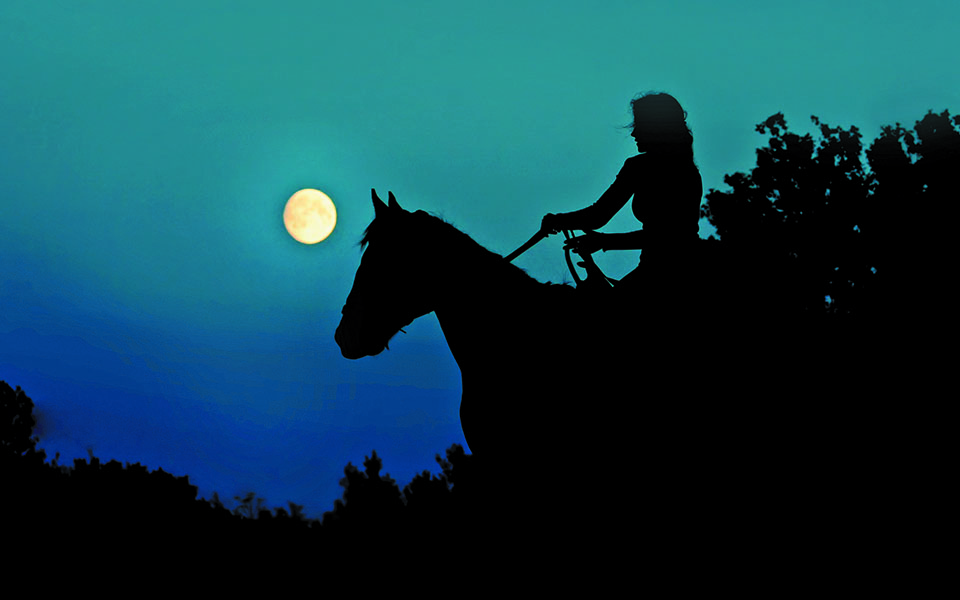 αναζητώντας-τη-θηλυκή-άγρια-φύση-561285988