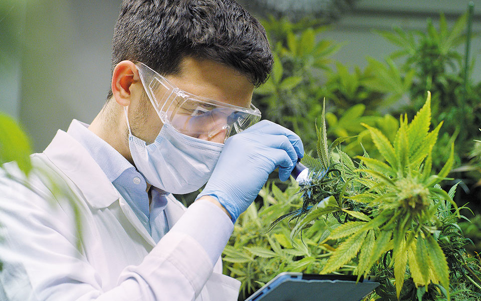 γίνονται-πιο-εύκολες-οι-εξαγωγές-προϊ-561283927