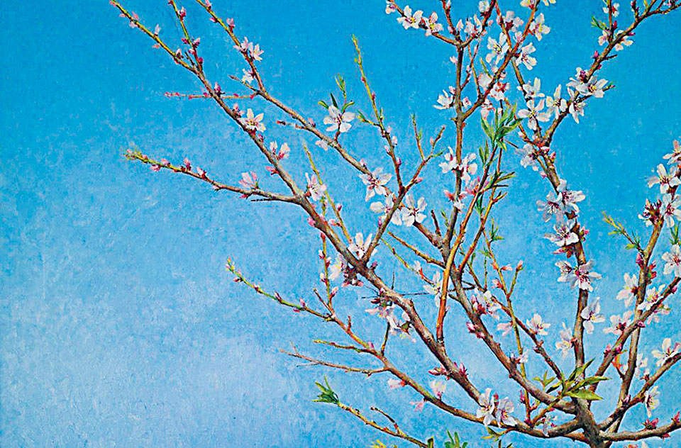 Η συλλογή του Σωτήρη Φέλιου «αναρτήθηκε» στην πλατφόρμα Google Art-1