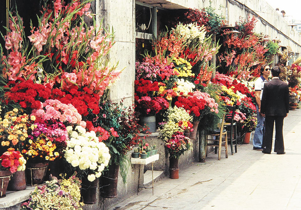 Τα ανθοπωλεία του Συντάγματος τιμούν, ανήμερα την επέτειο, μια αθηναϊκή παράδοση-3