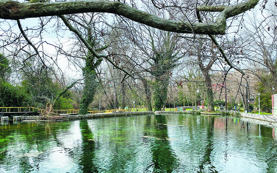 η-δράμα-ακτινοβολεί-ξανά-μέσα-από-τη-σύ-561286777