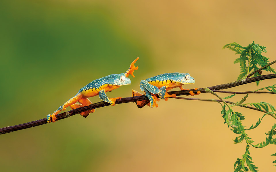 χωρίς-αποστάσεις-561285103