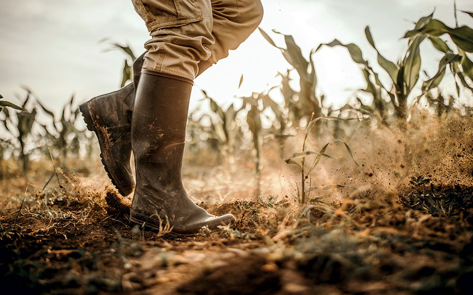 Νερό, πιο πολύτιμο από ποτέ-1