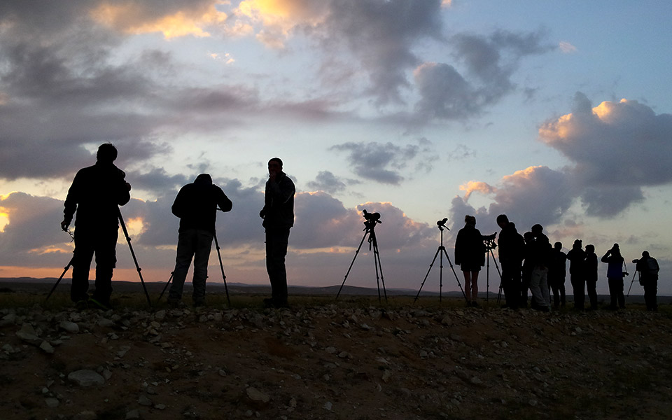 μαζί-με-τα-πουλιά-561297739