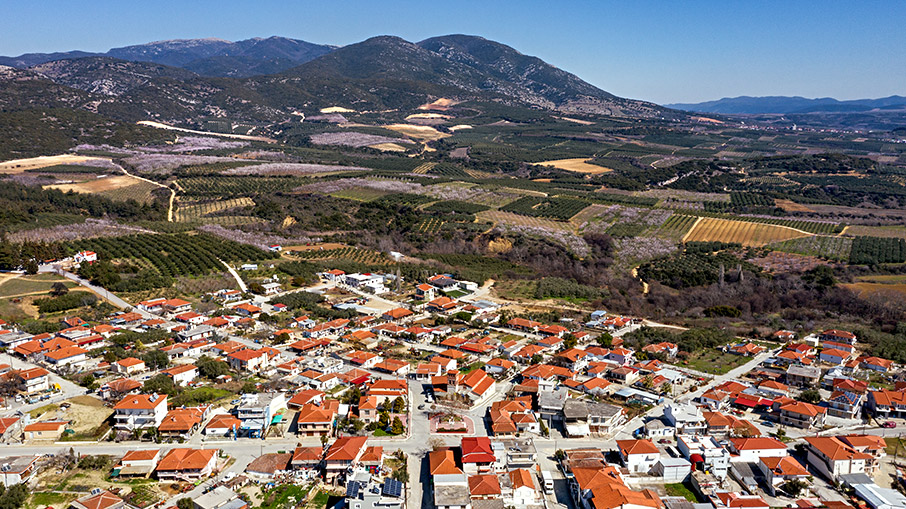 Στις αμυγδαλιές του Στρυμόνα-1