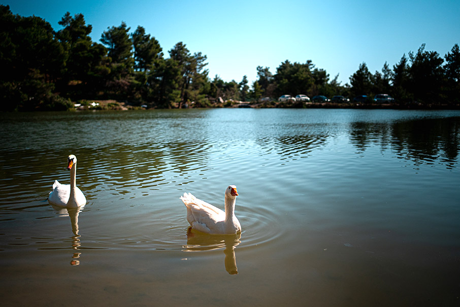 Ηλιόλουστη βόλτα στη Λίμνη Μπελέτσι-1