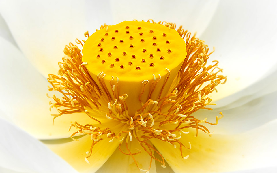 τόσο-κοντά-561280141