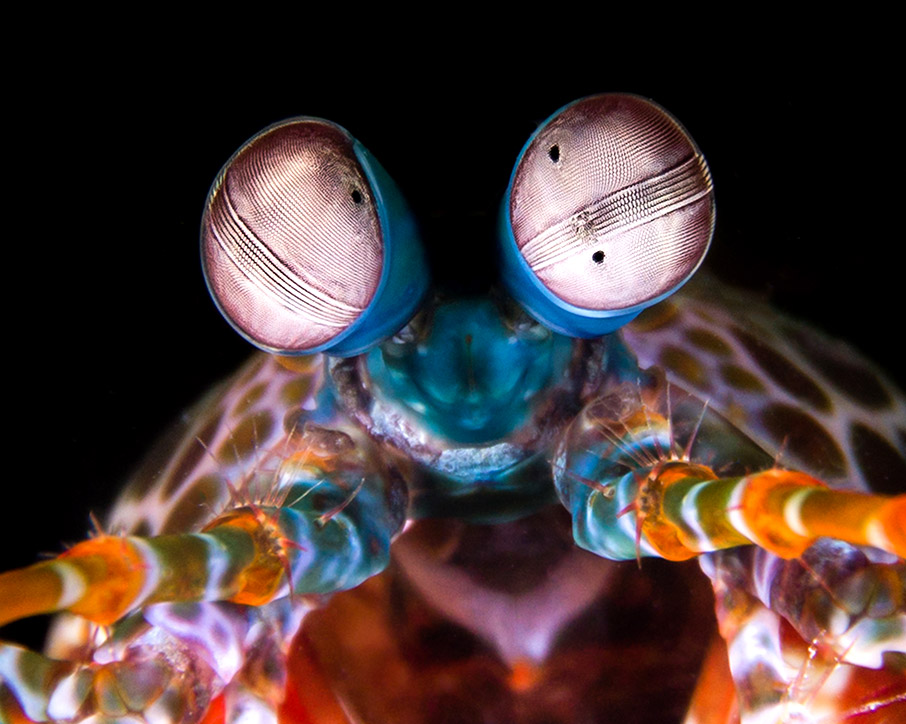 Φωτογραφίζοντας έναν κόσμο υπό απειλή-2
