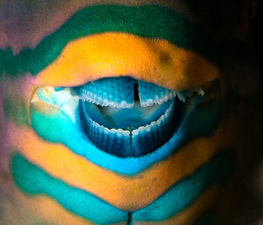 Φωτογραφίζοντας έναν κόσμο υπό απειλή-6