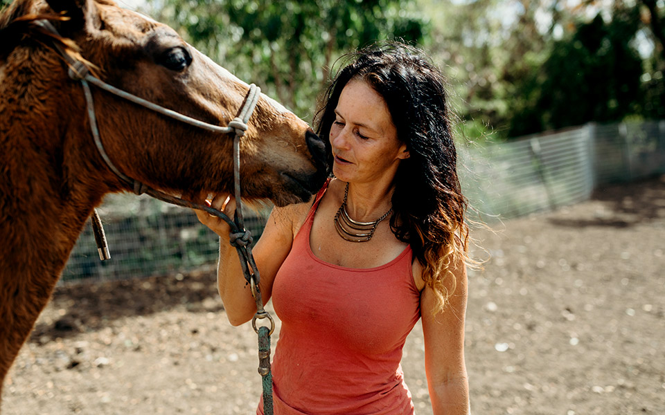saint-croix-παρθένοι-νήσοι-τα-άλογα-δεν-έχουν-πά-561312673