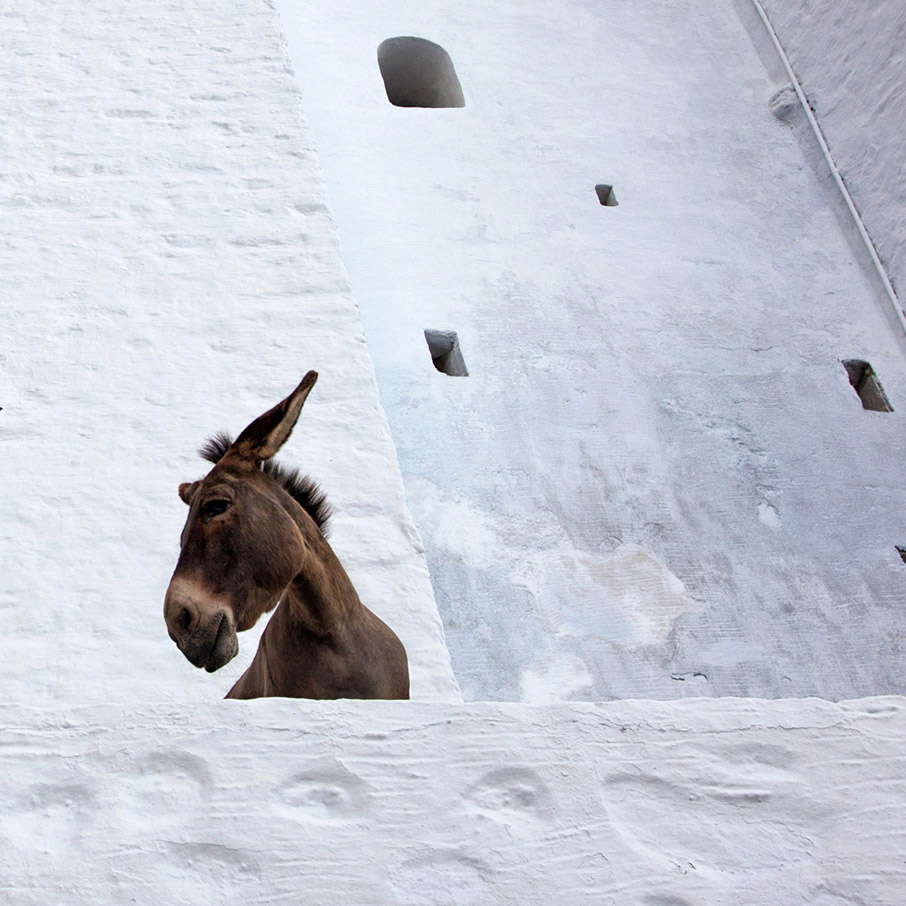 Επιστροφή στο χωριό-4