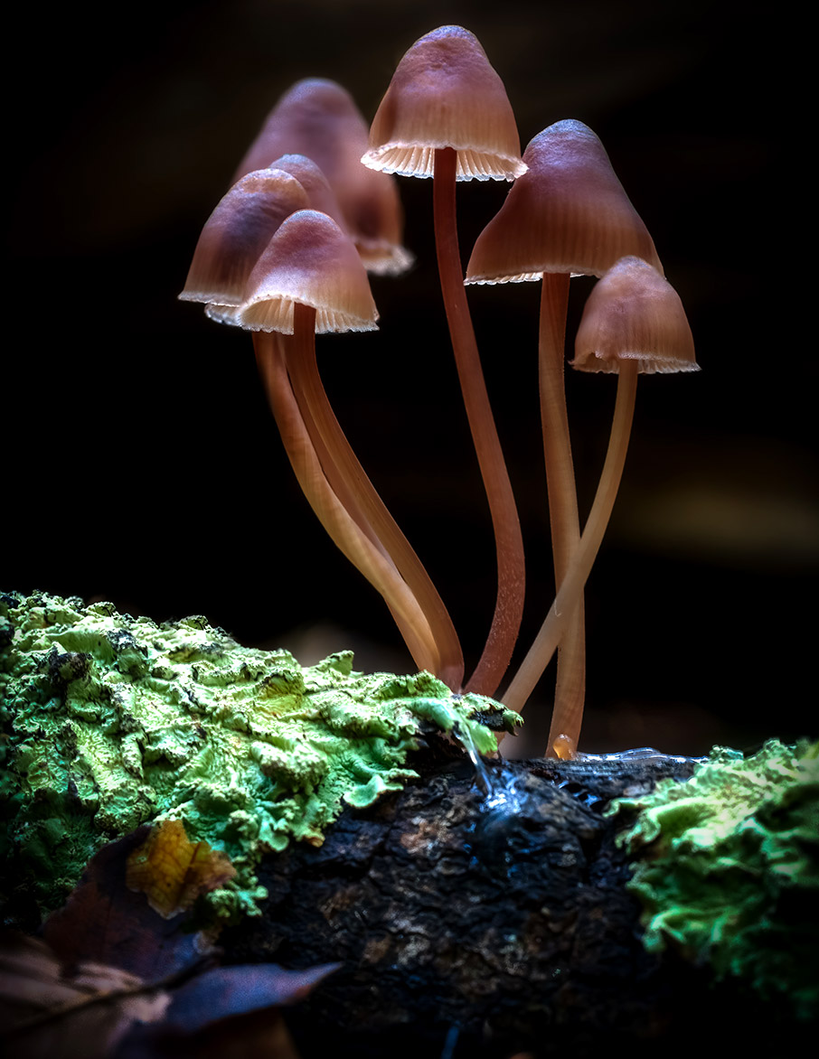 Ζουμ στη φύση-2