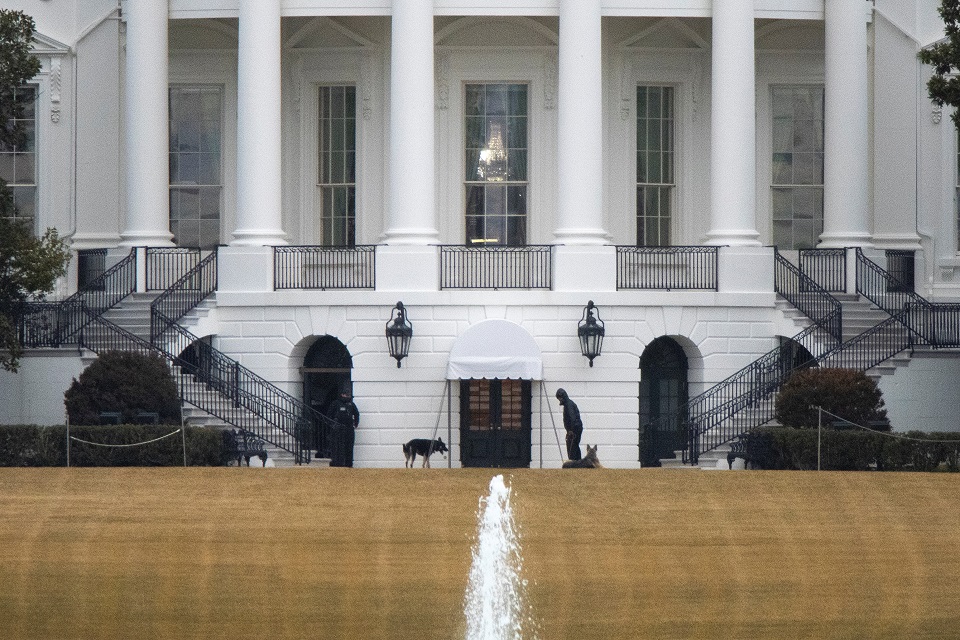 φεύγουν-από-τον-λευκό-οίκο-τα-λυκόσκυλ-561289051