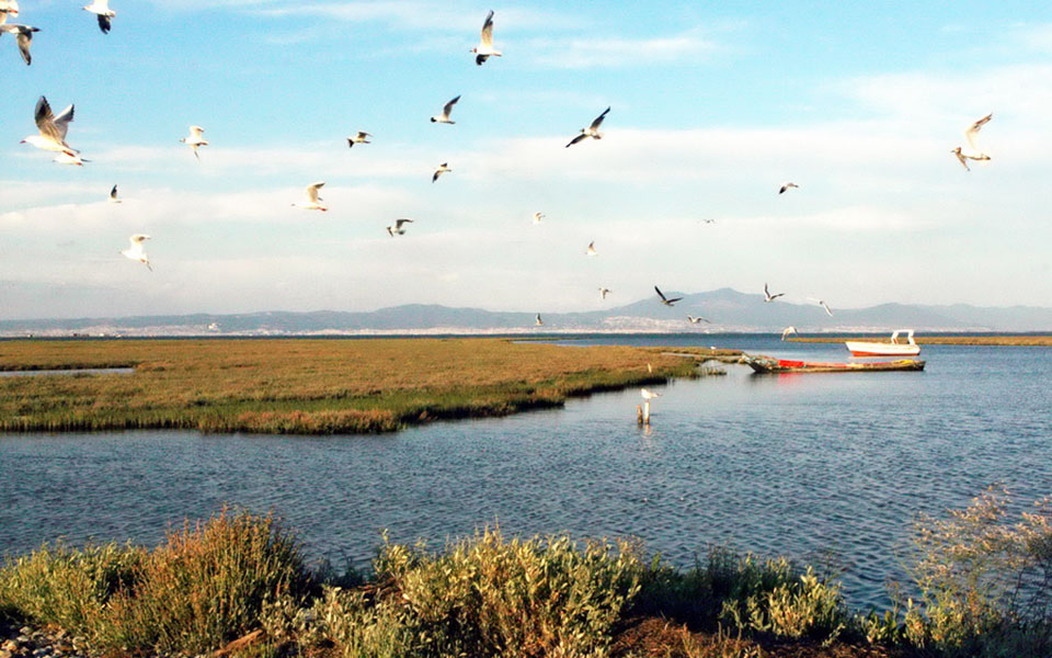 ο-φορέας-διαχείρισης-εκπέμπει-sos-για-το-561289429