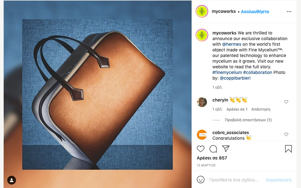 όχι-από-δέρμα-πλέον-η-τσάντα-victoria-του-hermes-561305341