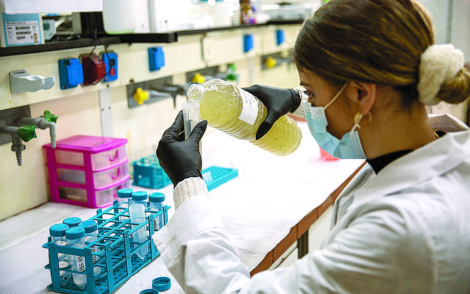 Ο μικρόκοσμος των λυμάτων και οι εξάρσεις του ιού-2