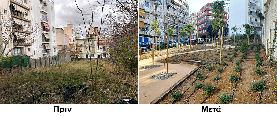 Μια όαση στην καρδιά του Παγκρατίου-1