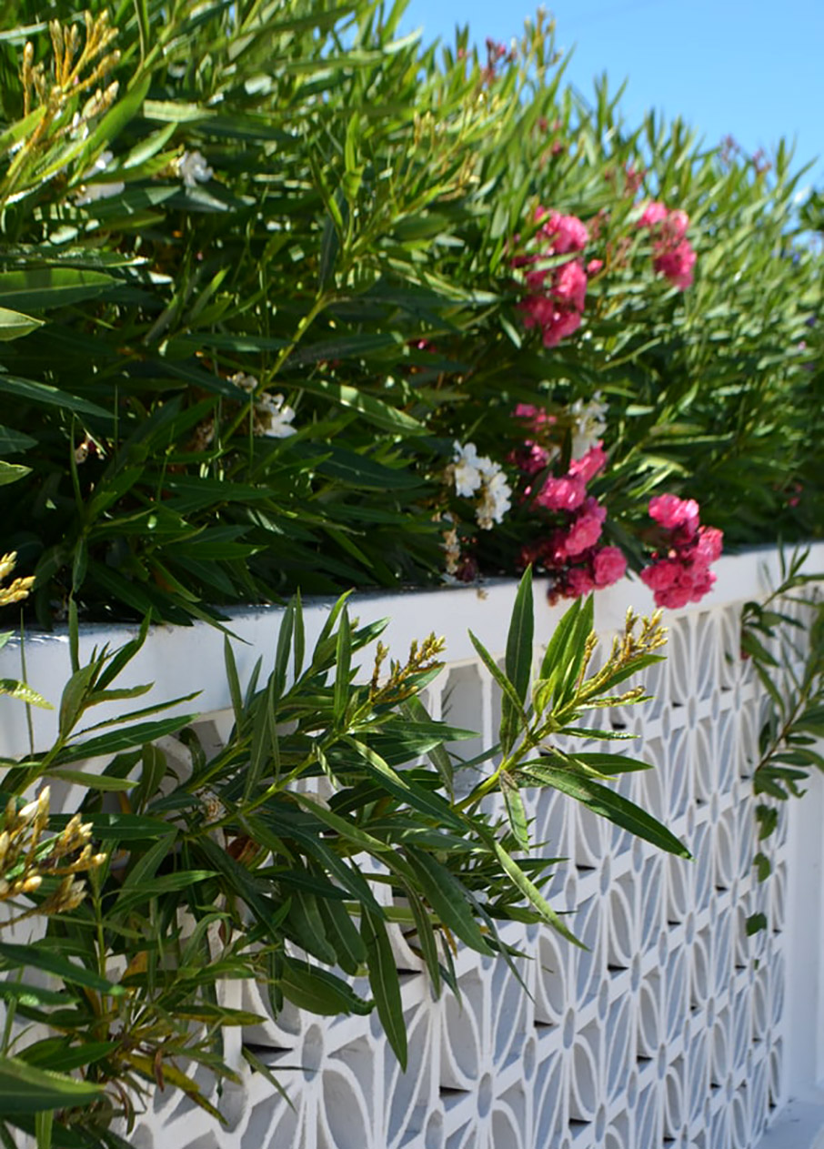 4 ιδέες για περίφραξη αυλής που αξίζει να σκεφτείτε!-3