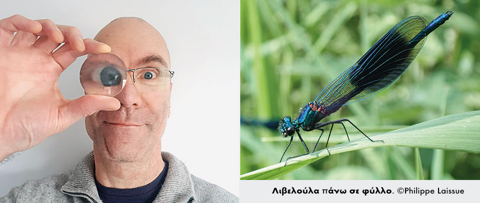 Χωρίς αποστάσεις-3