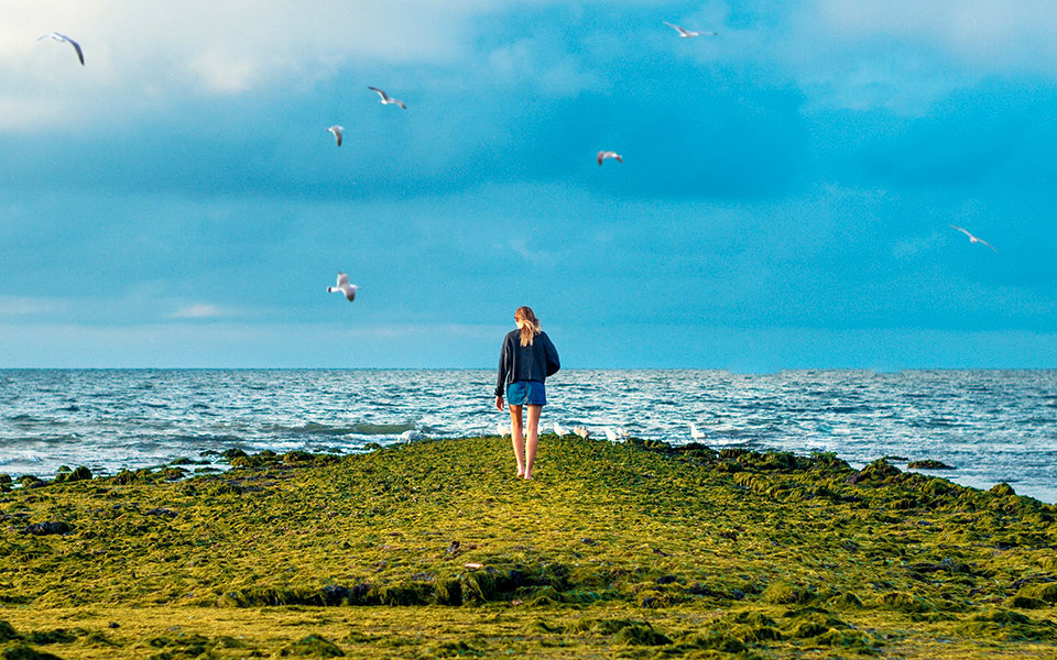 hard-things-το-πρόβλημα-είναι-η-ευγνωμοσύνη-561296677