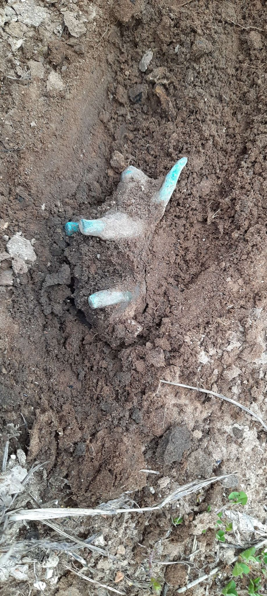 Ολυμπία: Η βροχή αποκάλυψε χάλκινο ειδώλιο ταύρου (εικόνες)-3