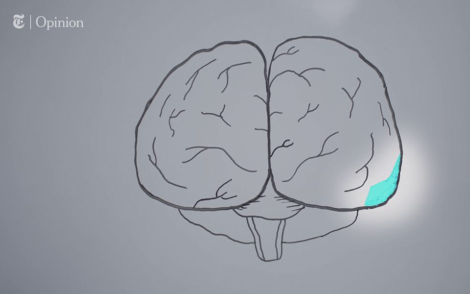 βίντεο-new-york-times-σκανάροντας-εγκεφάλους-ε-561292711